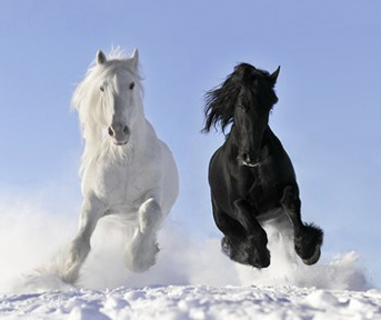 Horse-Chinese-astrological-monthly-update-horse